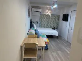 5minutes from Shinjuku Shin-Okubo Station-k203