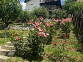La Colonelu, self catering accommodation in Sărata-Monteoru
