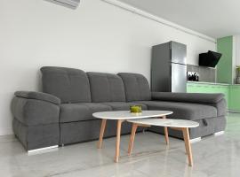 Apartament Ilinca - 2 dormitoare โรงแรมที่สัตว์เลี้ยงเข้าพักได้ในบิสตริซา