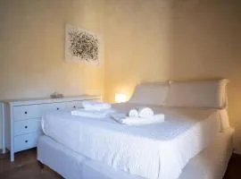 Angolo sui tetti a Pietrasanta