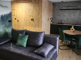 APARTAMENT Z PRYWATNYM GARAŻEM NARCIARSKA 14h