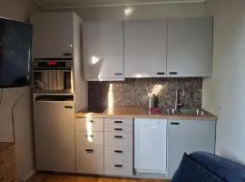 Koselig studioleilighet
