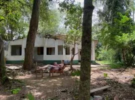 Forests for People, Nidikumba HomeStay