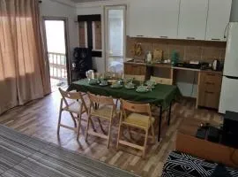 Гостевой дом Tengri House