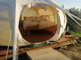Stargazer - Glamping Maremma, Toscana