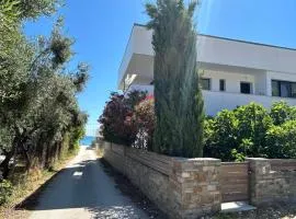 House Constantin