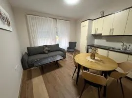 Cozy apartment