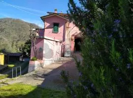Regina Margherita affittacamere