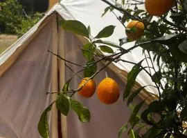 In Our Garden Sardinia - Orange Trees Glamping Tent