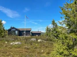 3 Bedroom Stunning Home In Lillehammer