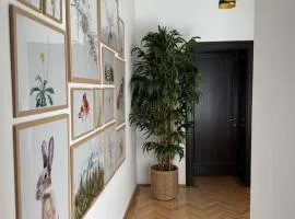 Nature-Inspired Stay in Piata Sfatului Brasov