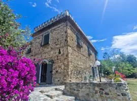 Il Castello degli Ulivi-Agriturismo in natura