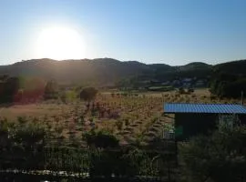 Orchard Guard Tower