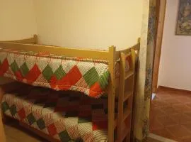 Castori 2