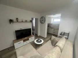 Cozy one bedroom apartment with parking