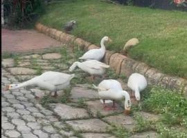 Bindas, hotel in Trivandrum