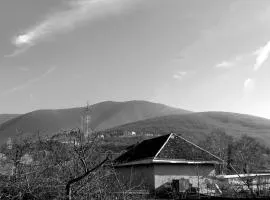 Ulduzlu ev
