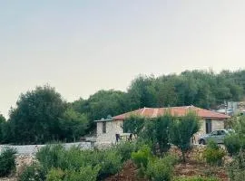 AlMajed Villa Ajloun فيلا الماجد عجلون