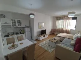 Apartman Mina, Bečići - Budva