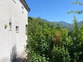 APARTMENTS Mir