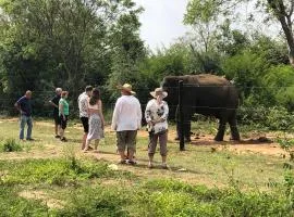 Forests for People Nidikumba Safari