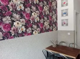 Mieszkanie na Wygodzie M2-parking free