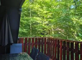 Bois d' Azur