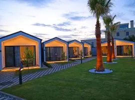 Villas Palma Airport