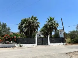 My Agathi Studios