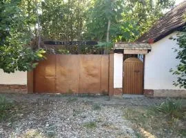 Retro House