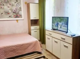 2 комнатная квартира в частном доме