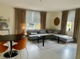 Nice and furnished apartment