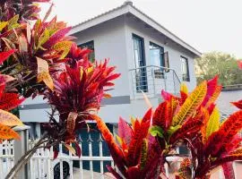Starlight Guest house