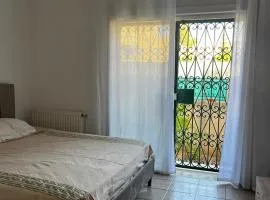 Syrine's house