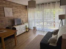 Studio de 32 m2 pour 3 personnes pied des pistes