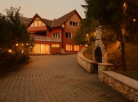 Baroc Boutique Hotel, Gasthaus in Topliţa