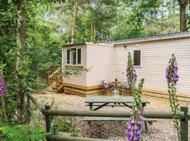 Tree Tops - Norfolk Cottage Agency