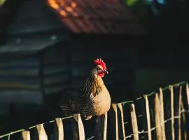 B&B 't Kruidenhof