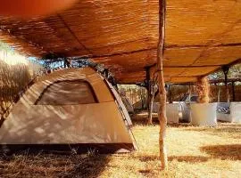 Olive Qeparo Fushe Camping