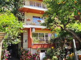 Violeta 7 Guest House