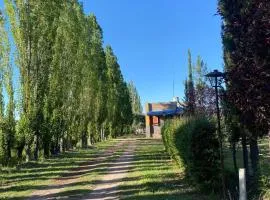 Camino al Valle