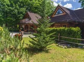 Mountain Shelter Zakopane