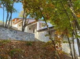 Vila Haxhaj