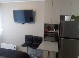 Departamento Centro Plaza 403