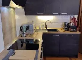 Elegant deux pièces au centre de Sélestat