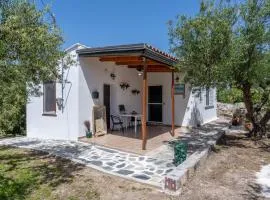 Nicola's House