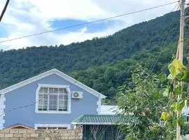 Gabala garden house