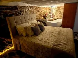 Suite tojo natur