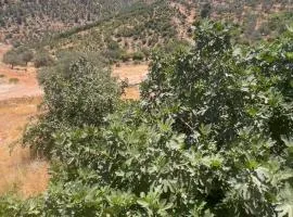 شقة اشتفينا المفروشة