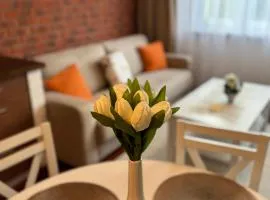 A&M Apartments - apartment Prostejovska